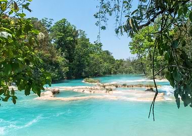 Turquoise River in Lush Jungle