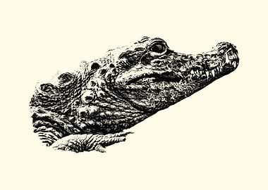 Crocodile Portrait