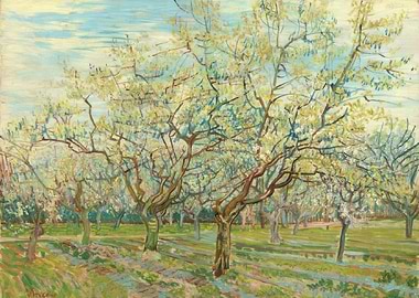 Almond Blossom Painting