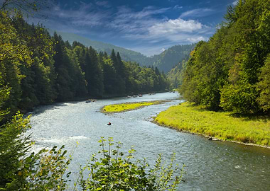 River Bend in Lush Forest, Pieniny, Poland