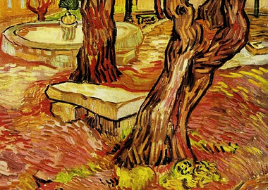 Tree Trunks and Bench