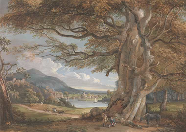 Landscape with Large Tree