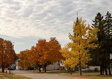 Autumn Street Scene