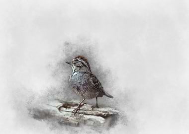 Watercolor Sparrow