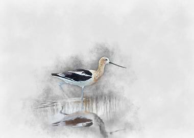 Waterbird in Watercolor