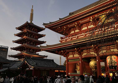 Tokyo Temple Architecture
