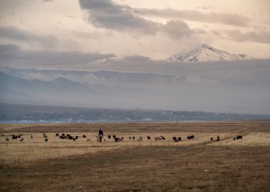 Shepherd and Sheep in Mountain Landscape