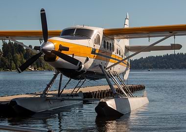 Seaplane Docked on Water