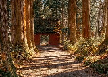 Togakushi Forest Shrine in Nagano, Japan
