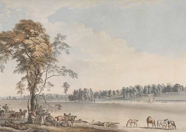 Horses by a River