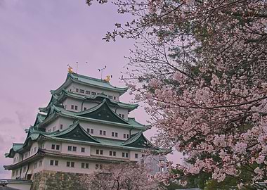 Japanese Castle with Cherry Blossoms