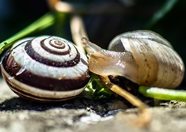 Is there anyone home?