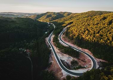 Winding Road Through Forest