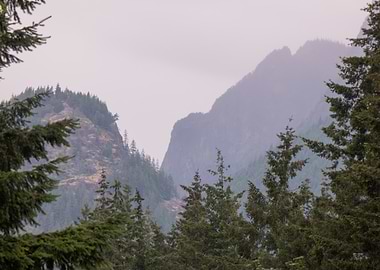 Misty Mountain View