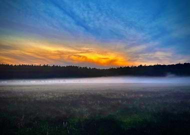 Misty Sunset Landscape