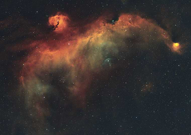Seagull Nebula