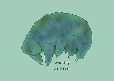 Live Tiny Tardigrade