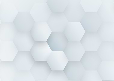 White Hexagon Pattern