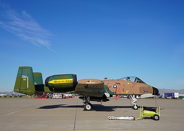 A-10 Warthog Fighter Jet
