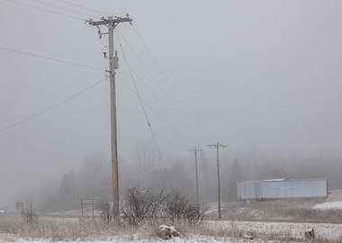 Foggy Rural Landscape