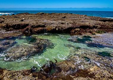 Ocean Tide Pool