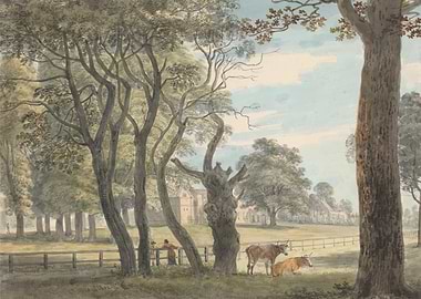 Countryside Landscape with Cows