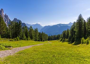 Mountain Meadow Path - Val di Fassa - Dolomites - Italy