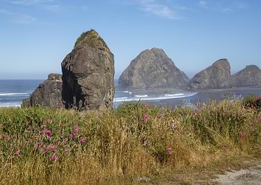 Coastal Rock Formations