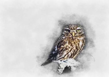 Little Owl Watercolor Painting
