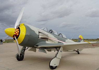 Soviet Yak-18T Airplane