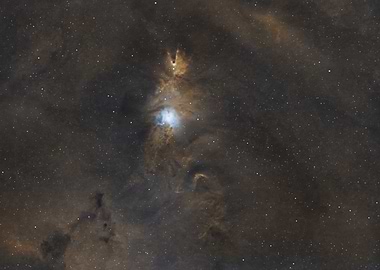 Christmas Tree Nebula