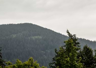 Green Mountain Landscape