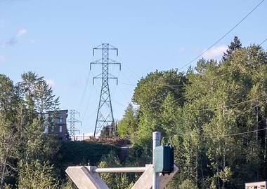 Power Lines and Trees