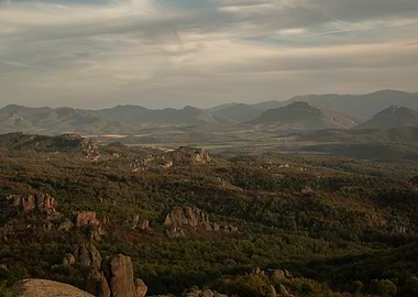 Mountain Landscape with Forest