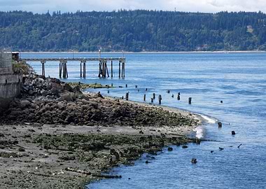 Coastal Pier and Shoreline