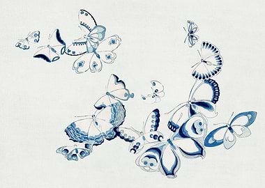 Blue and White Butterflies