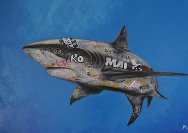 Shark Graffiti Art