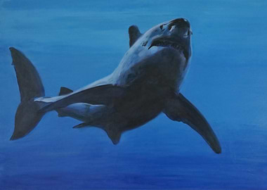 Great White Shark Painting