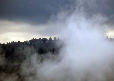 Misty Forest Landscape