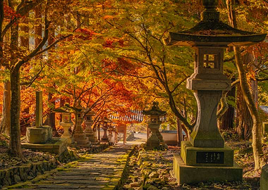 Autumn Shrine in Nagano, Japan