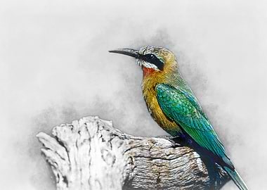 Green-winged Bee-eater