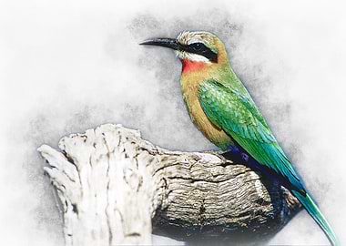 Colorful Bird on Branch