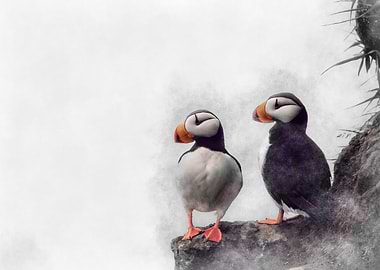 Two Puffins on a Cliff