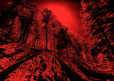 From Dusk Till Dawn Red Forest