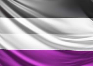 Asexual Pride Flag