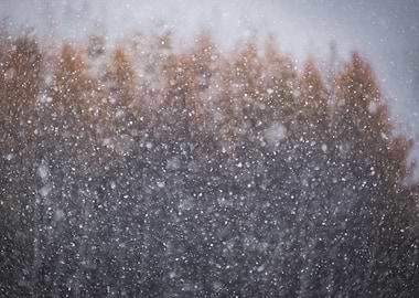 Snowfall - landscape format