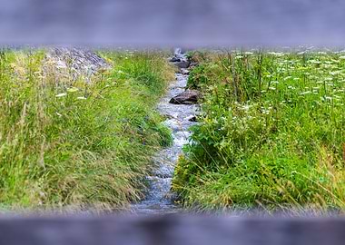 Stream in Meadow - Italy