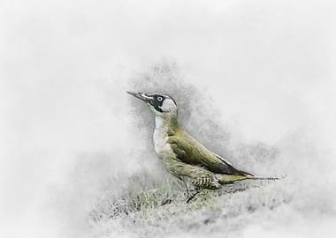 Green Woodpecker Watercolor