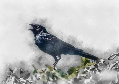 Blackbird in Fog
