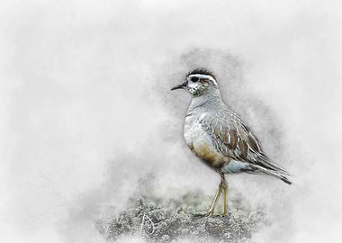 Grey and Brown Bird Watercolor
